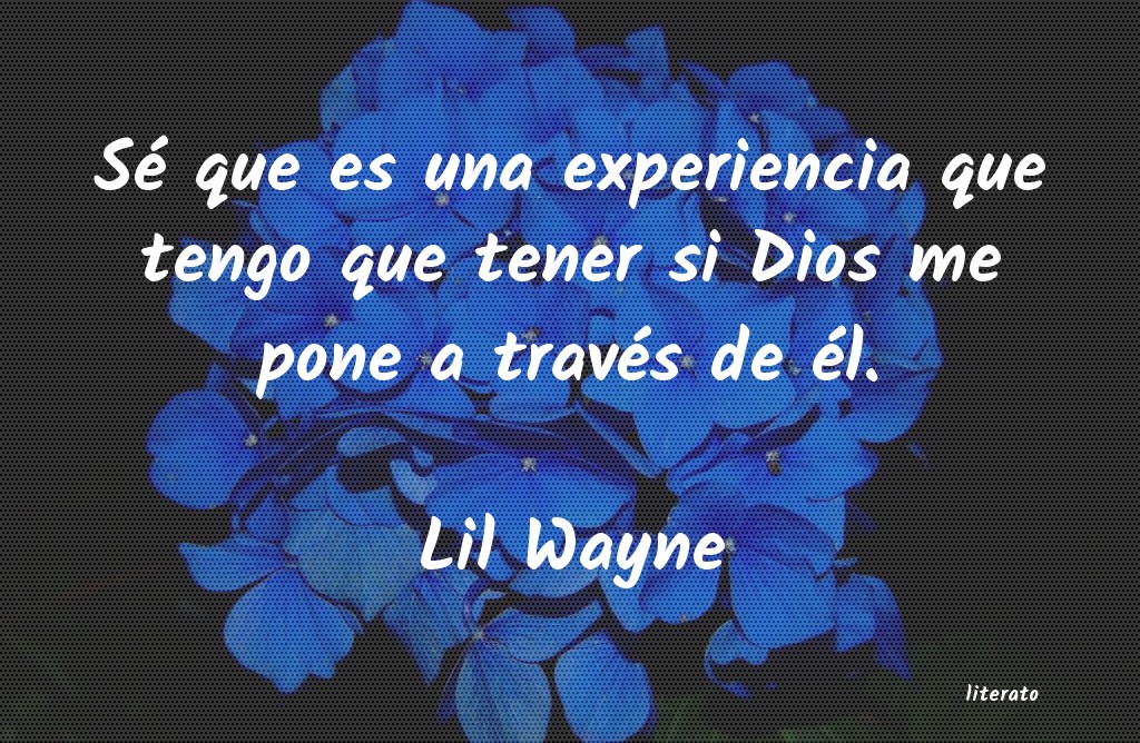 Frases de Lil Wayne