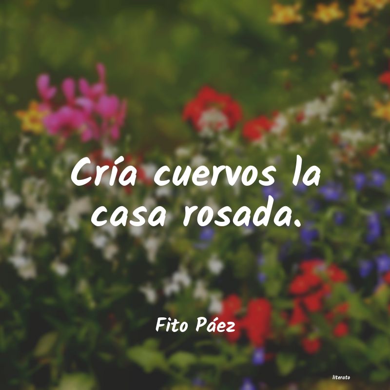frases de Fito Páez
