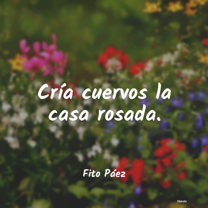 Frases de Fito Páez