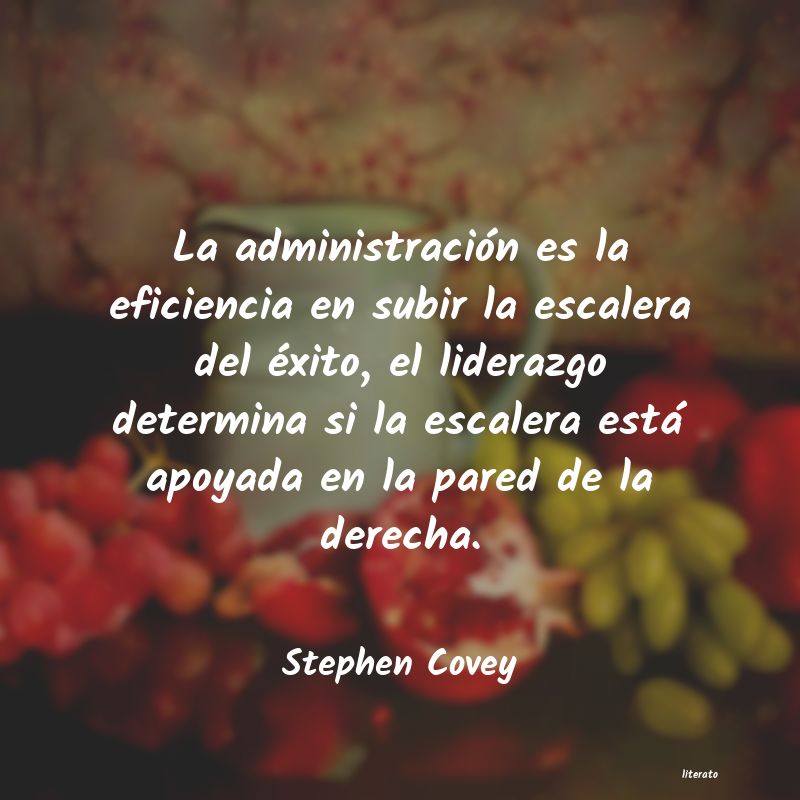 Frases de Stephen Covey