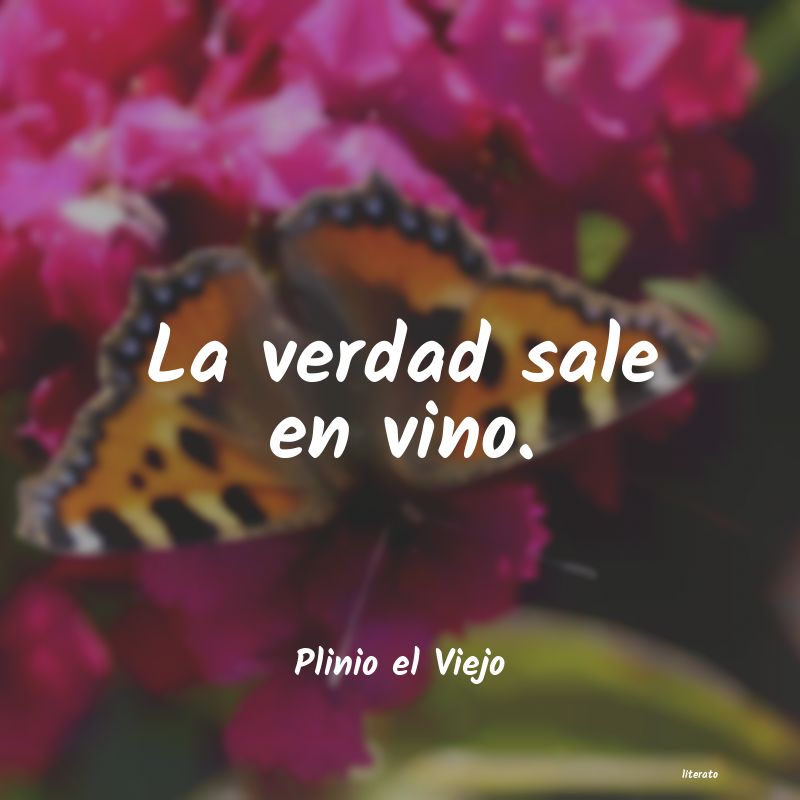 frases de Plinio el Viejo