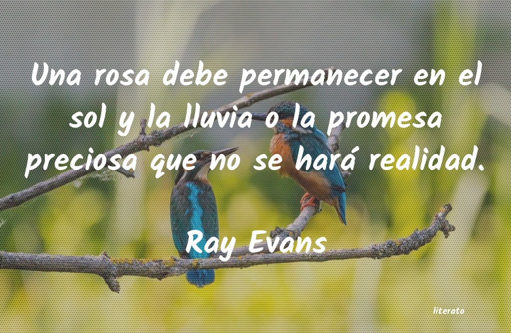 frases de Ray Evans