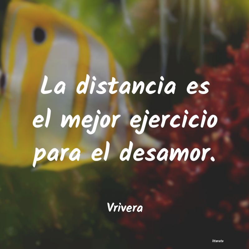 frases novios distancia