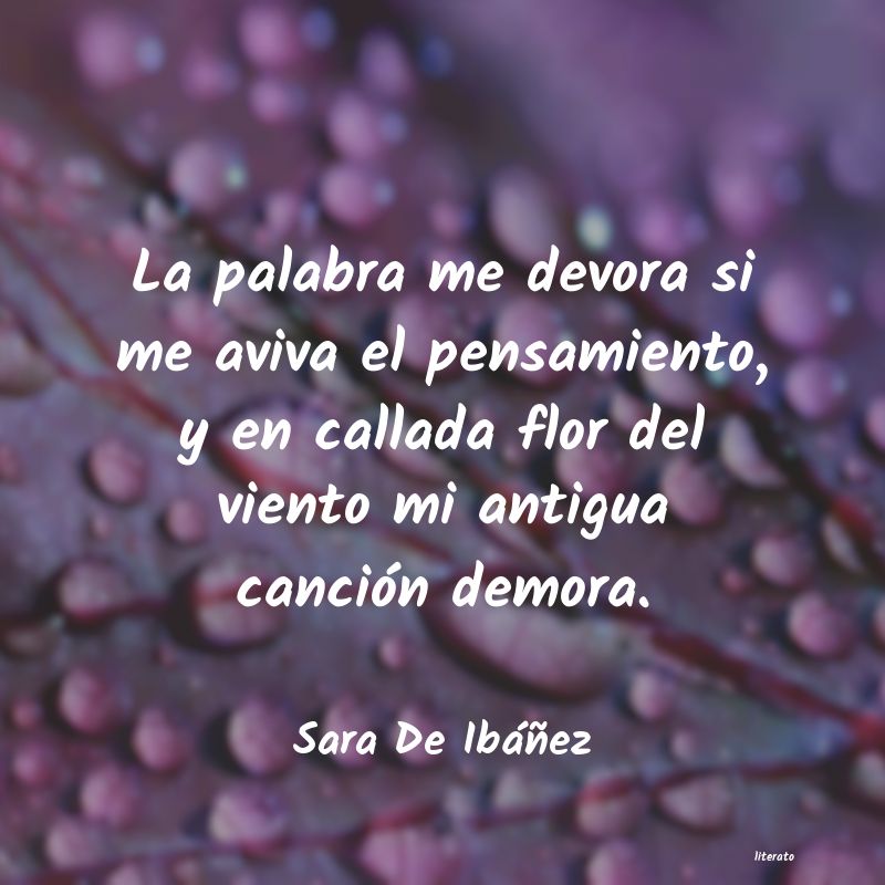 Frases de Sara De Ibáñez