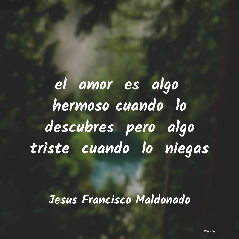 Frases de Jesus Francisco Maldonado
