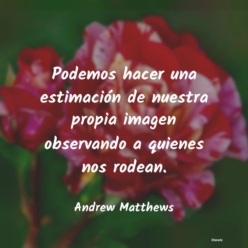 Frases de Andrew Matthews