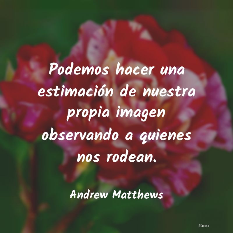 frases de Andrew Matthews