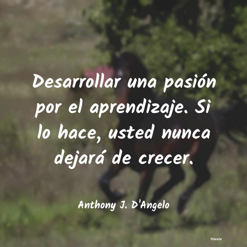 Frases de Anthony J. D'Angelo