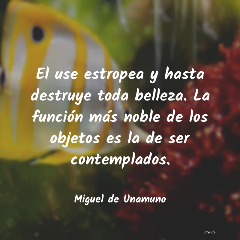 Frases de Miguel de Unamuno