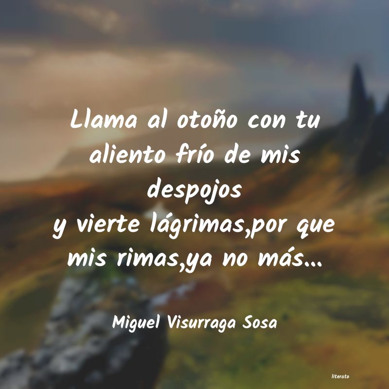 frases de Miguel Visurraga Sosa