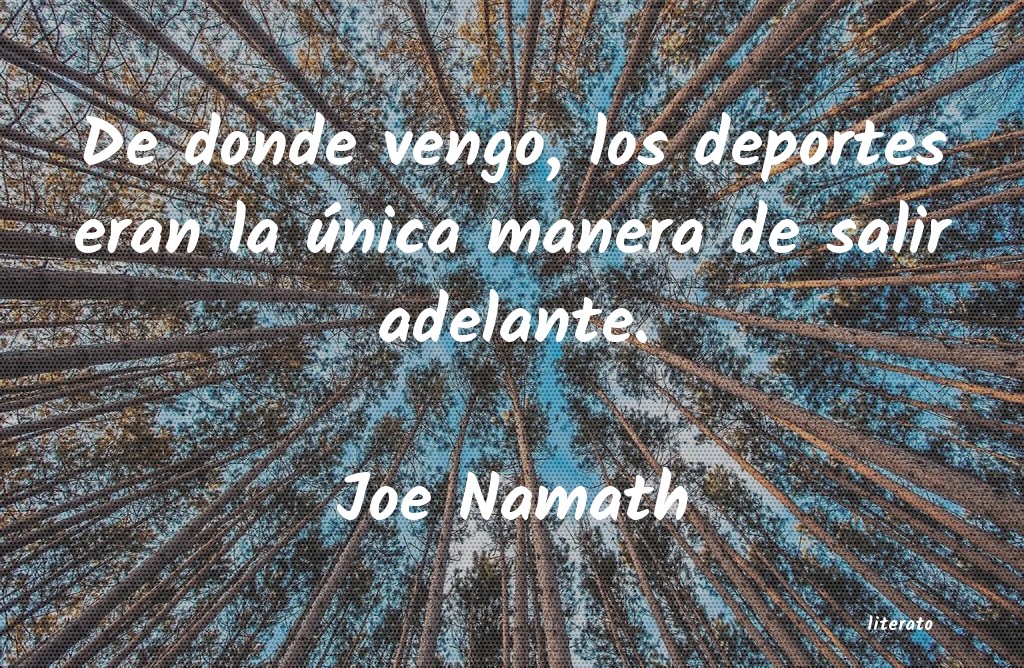 Frases de Joe Namath