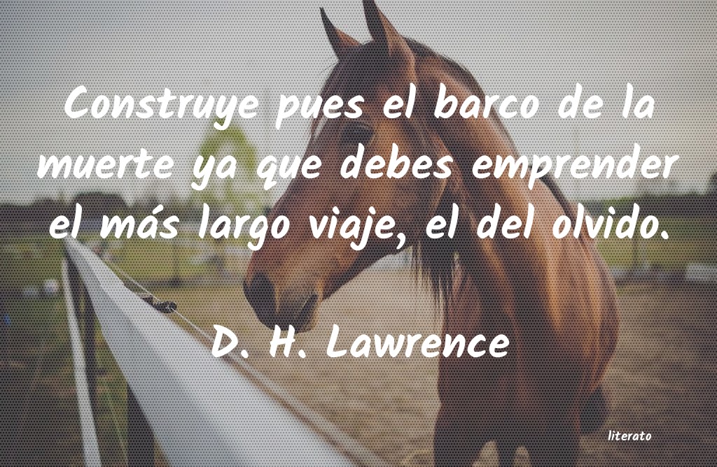 frases de D. H. Lawrence