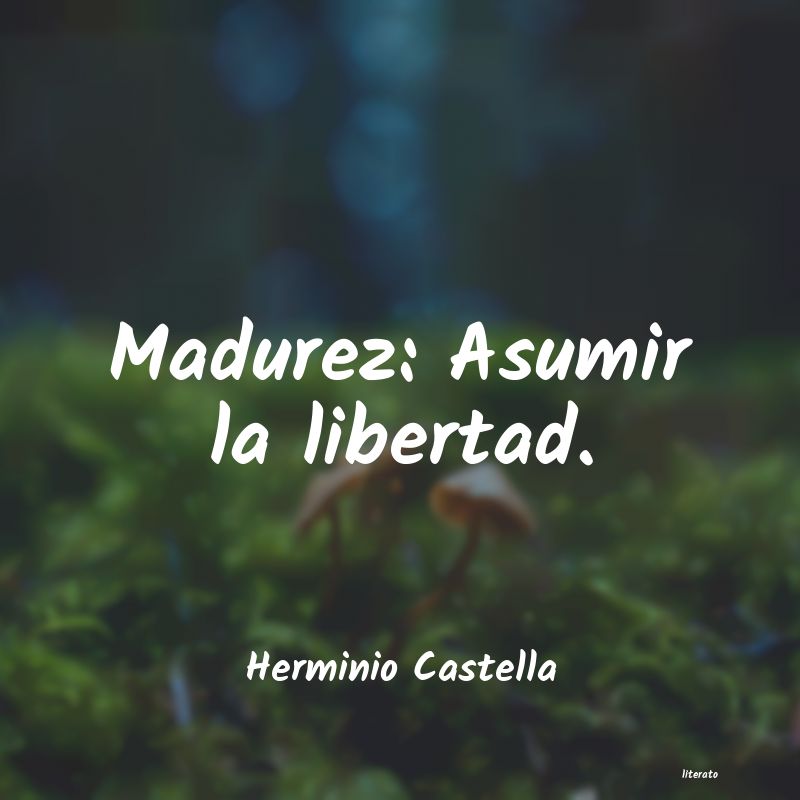 Frases de Herminio Castella