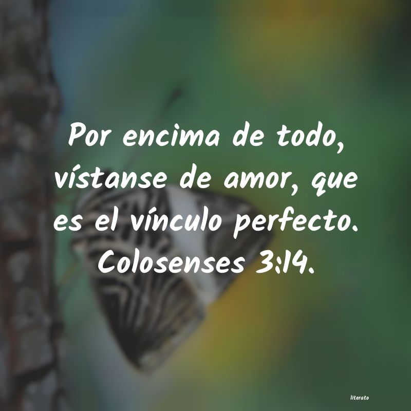 frases
