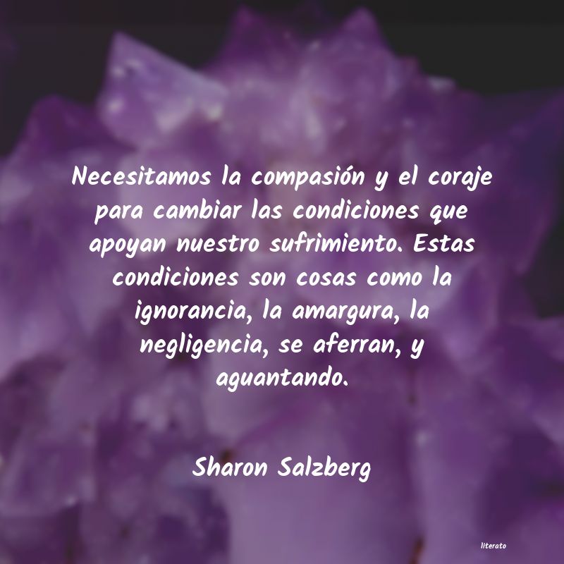 Frases de Sharon Salzberg