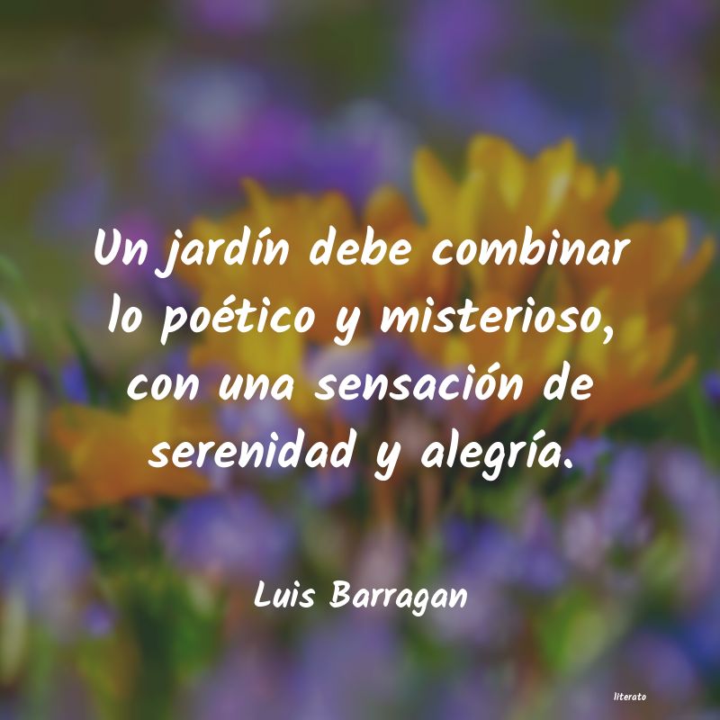 Frases de Luis Barragan