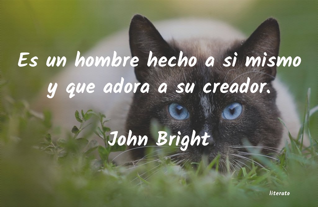 Frases de John Bright