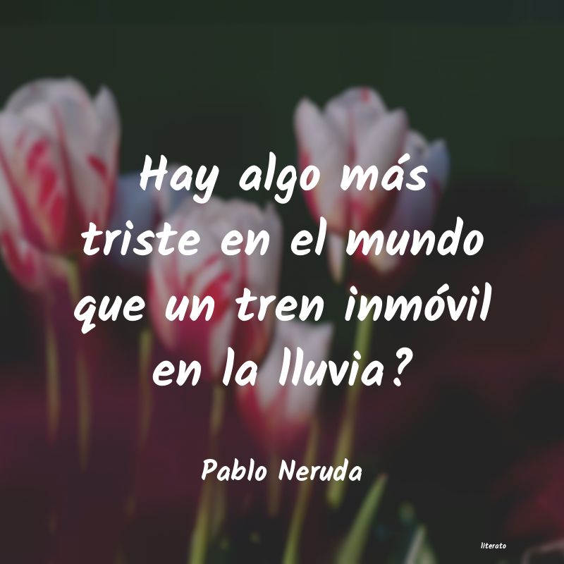 Frases de Pablo Neruda