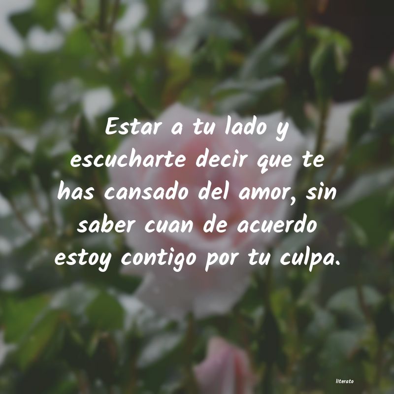 frases