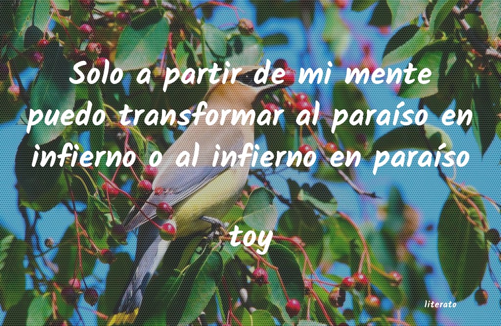 frases de toy
