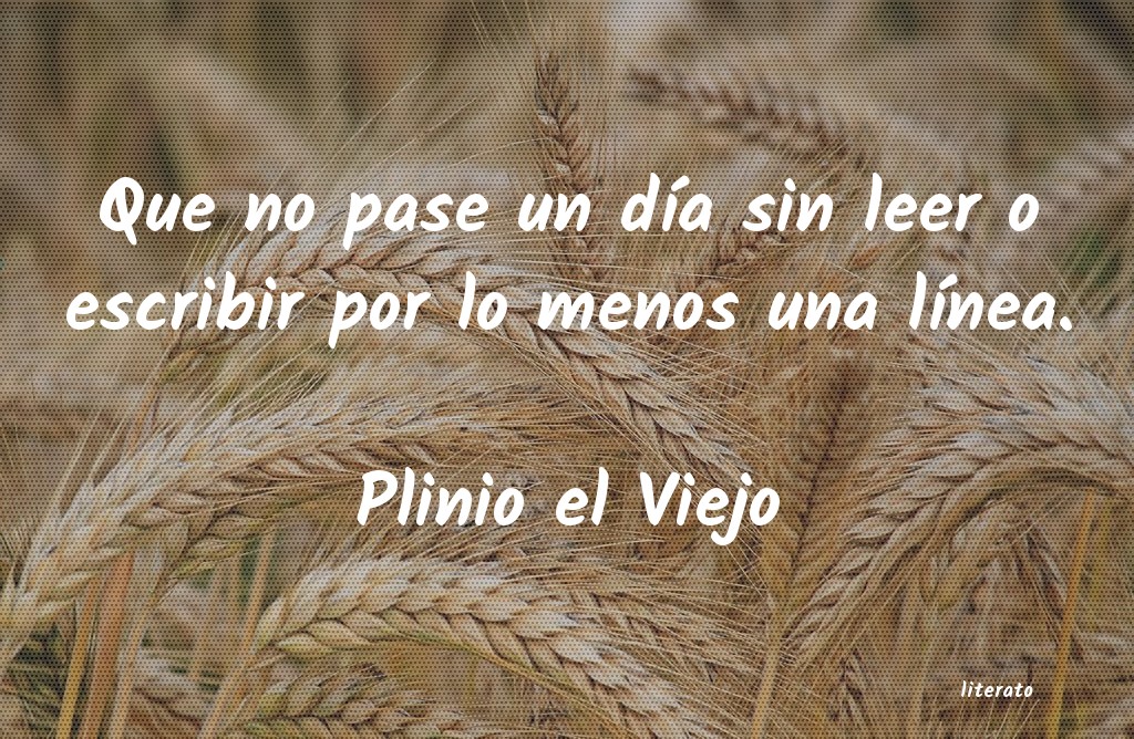 frases de Plinio el Viejo
