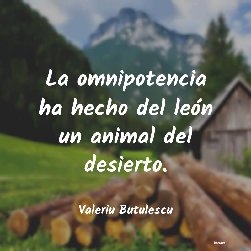 Frases de Valeriu Butulescu