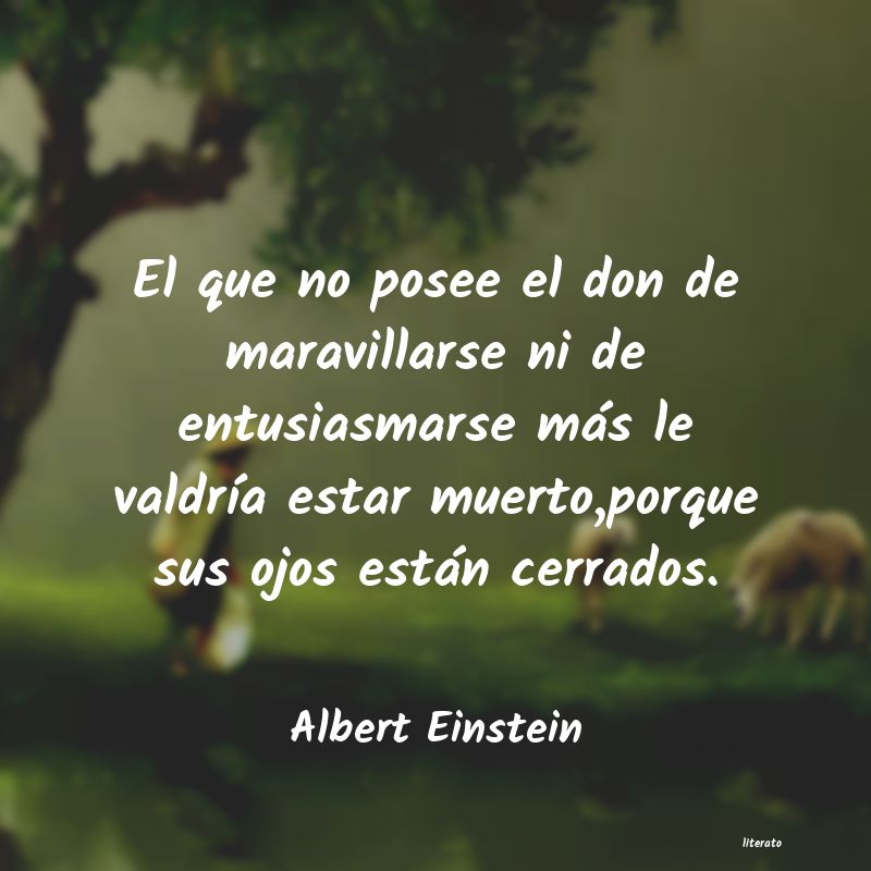 Frases de Albert Einstein