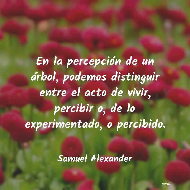 Frases de Samuel Alexander