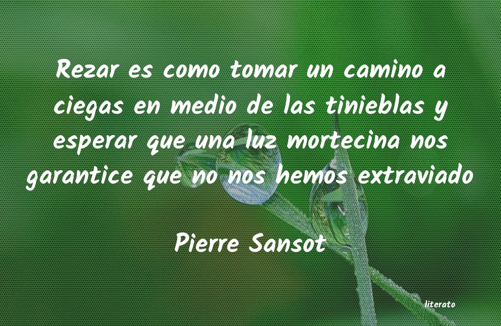 frases de Pierre Sansot