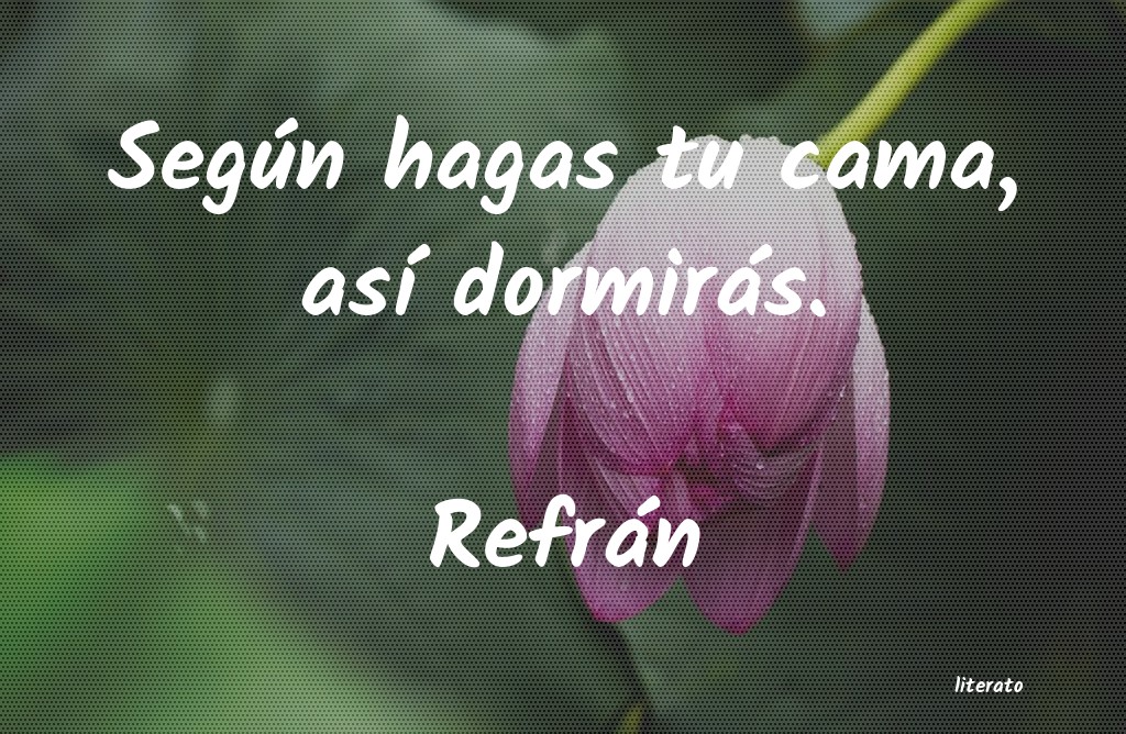 Frases de Refrán