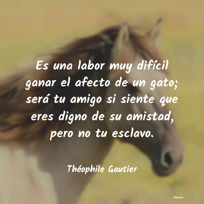 frases de Théophile Gautier