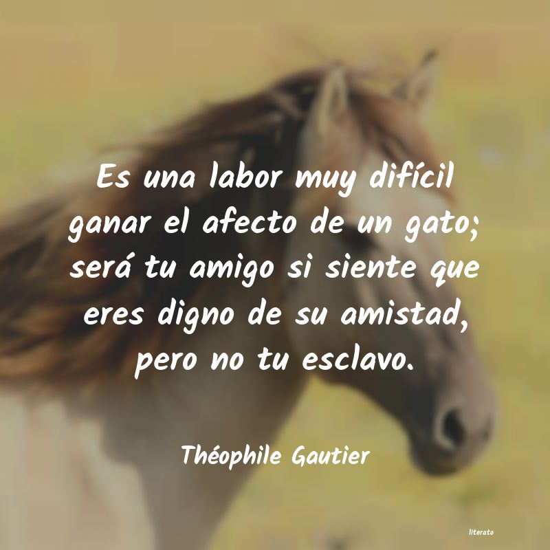 Frases de Théophile Gautier