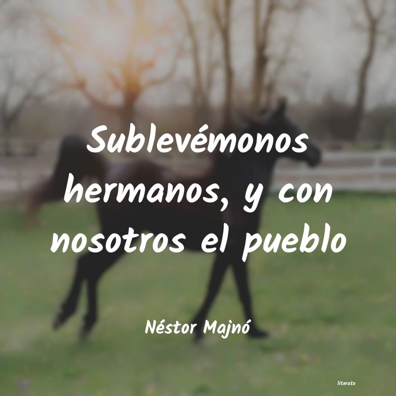frases de Néstor Majnó