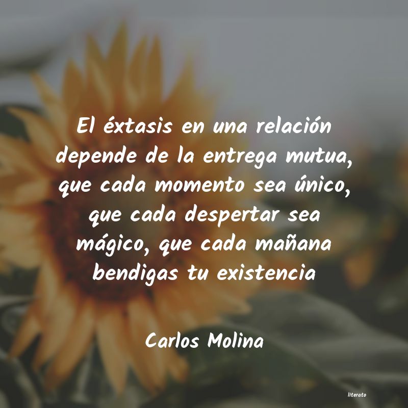 Frases de Carlos Molina
