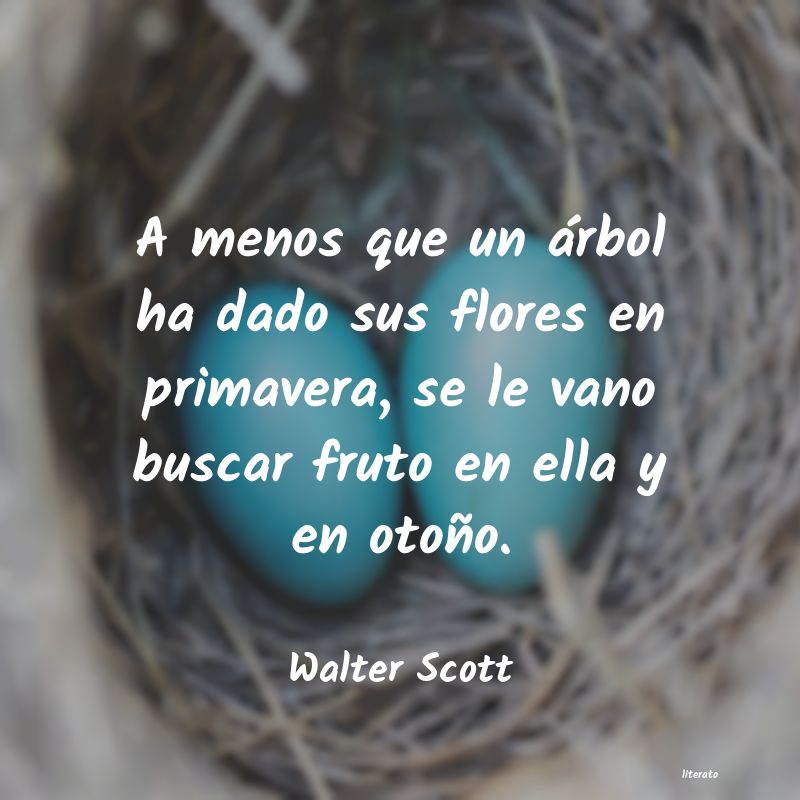 Frases de Walter Scott