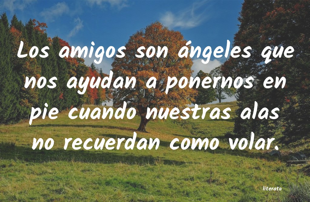 frases