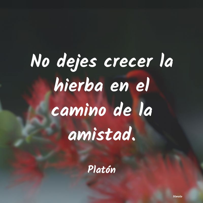 Frases de Platón