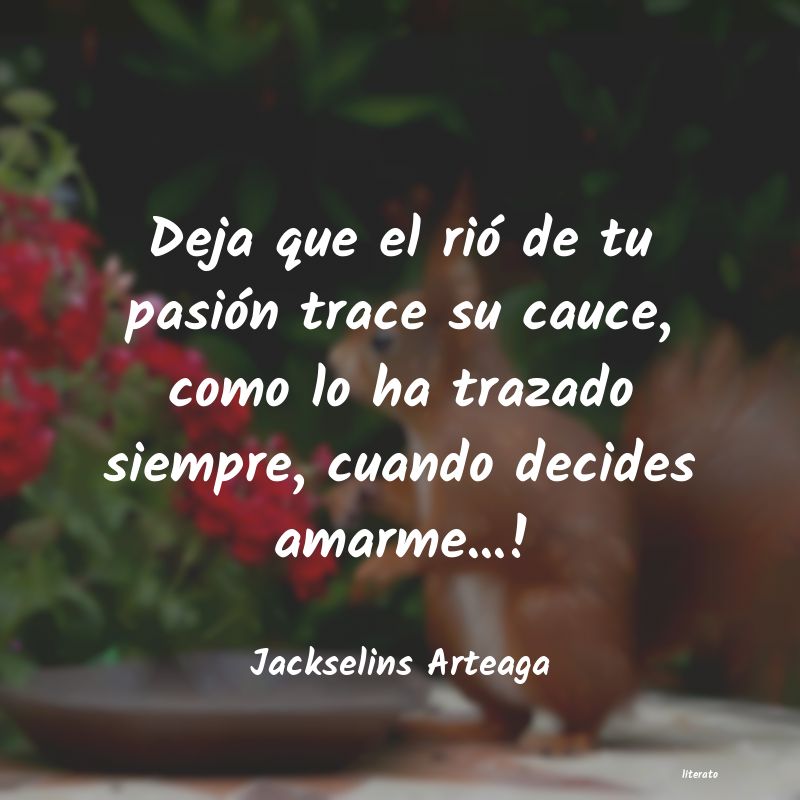 frases de Jackselins Arteaga