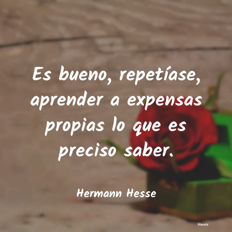 Frases de Hermann Hesse