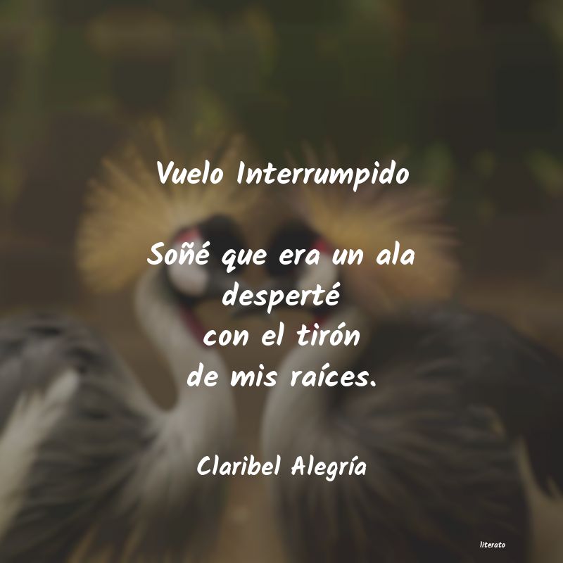 Frases de Claribel Alegría