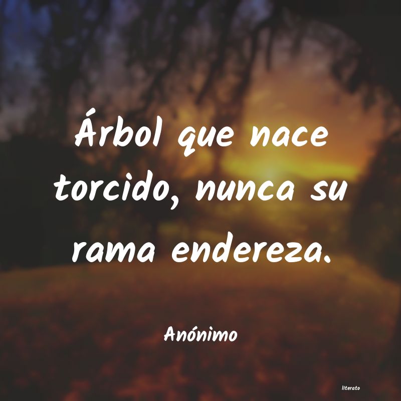 frases