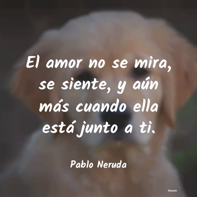 Pablo Neruda: El amor no se mira, se siente,