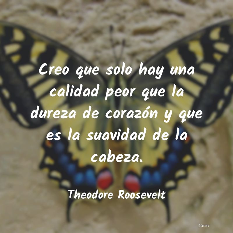 frases de Theodore Roosevelt