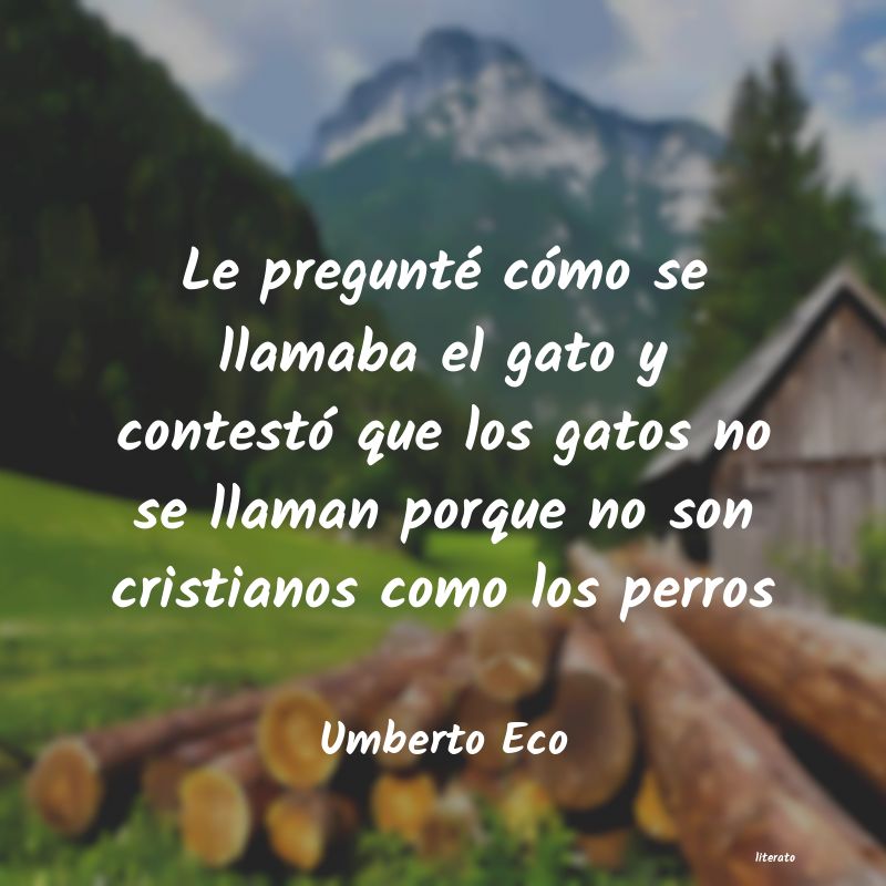 Frases de Umberto Eco