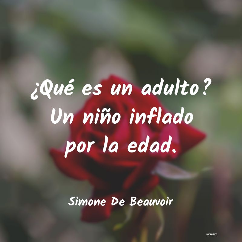 Frases de Simone de Beauvoir - literato