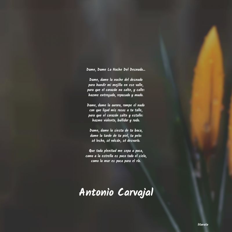 Frases de Antonio Carvajal