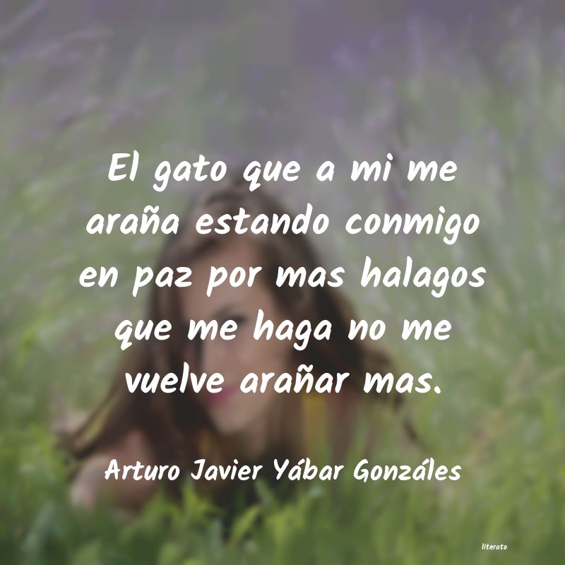 Frases de Arturo Javier Yábar Gonzáles