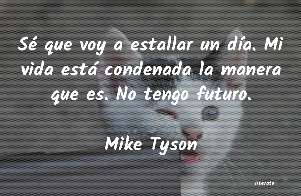 Frases de Mike Tyson