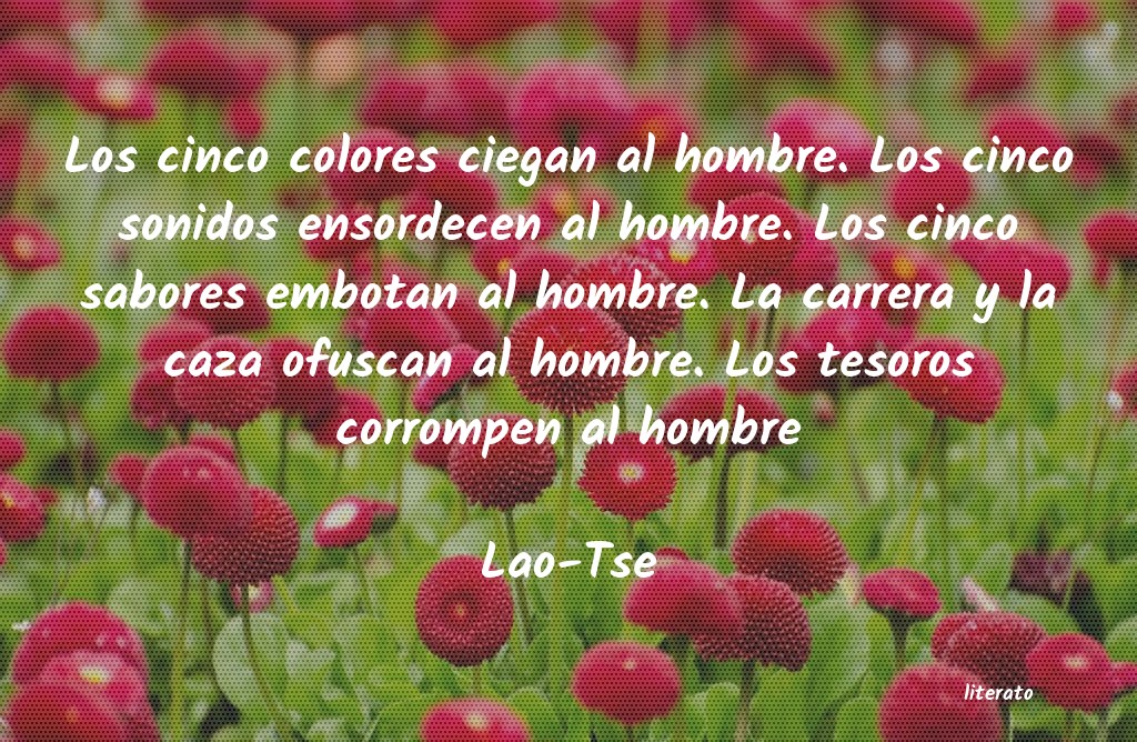 frases de Lao-Tse