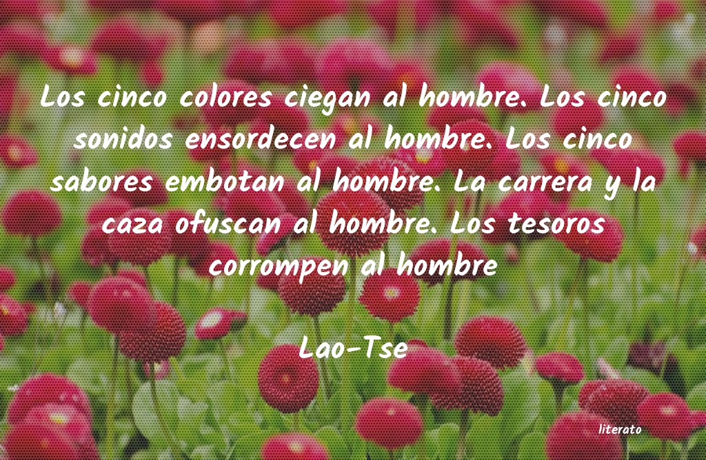 Frases de Lao-Tse